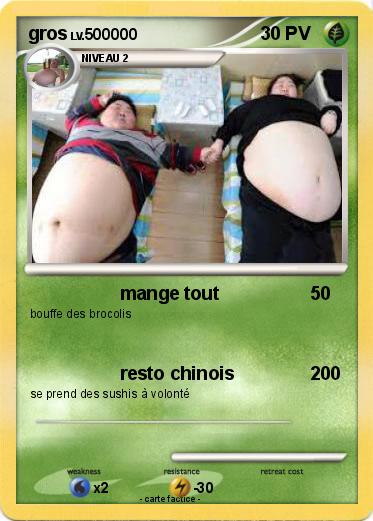 Pokemon gros