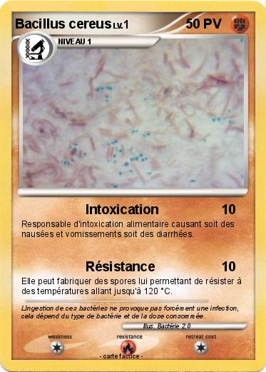Pokemon Bacillus cereus