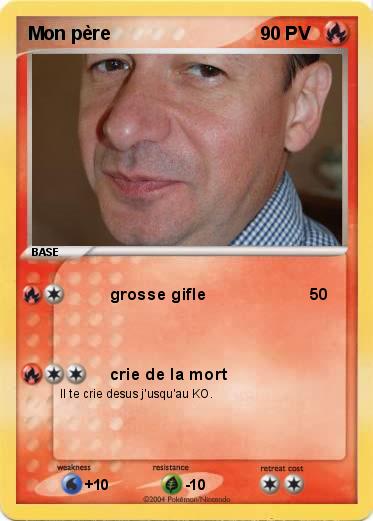 Pokemon Mon père