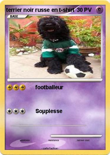 Pokemon terrier noir russe en t-shirt