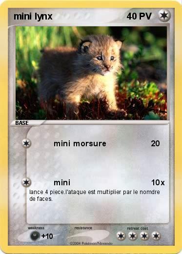 Pokemon mini lynx