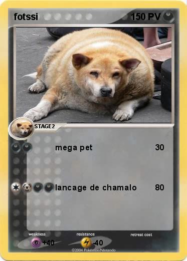 Pokemon fotssi