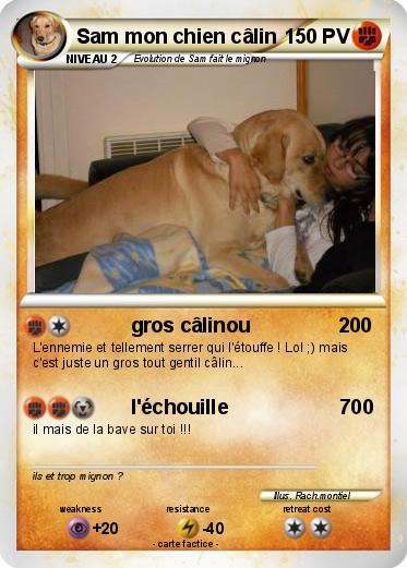 Pokemon Sam mon chien câlin