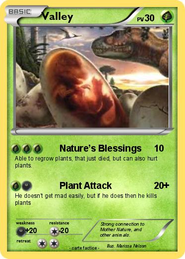 Pokemon Valley