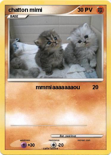 Pokemon chatton mimi