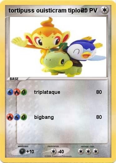 Pokemon tortipuss ouisticram tiplouf