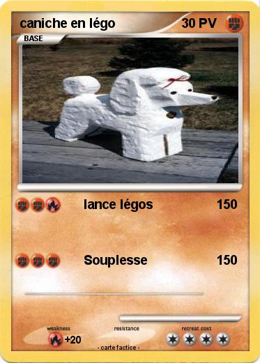 Pokemon caniche en légo