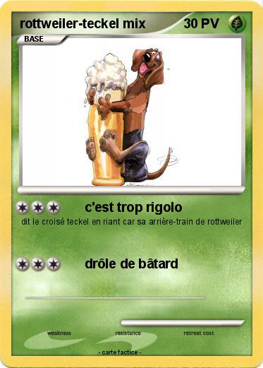 Pokemon rottweiler-teckel mix