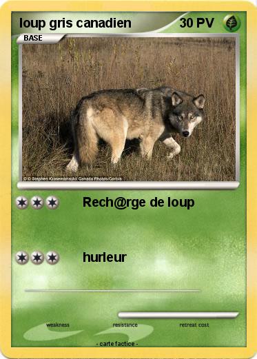 Pokemon loup gris canadien