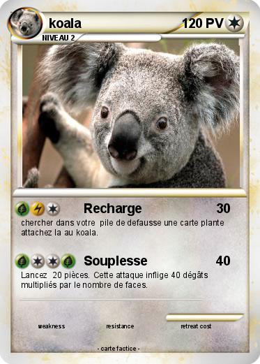 Pokemon koala