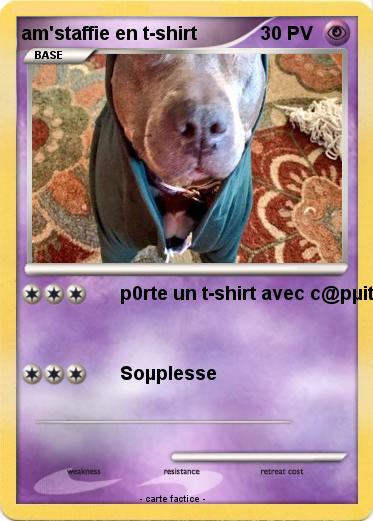 Pokemon am'staffie en t-shirt
