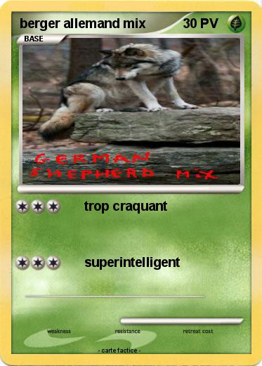 Pokemon berger allemand mix