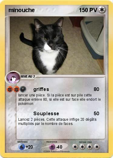 Pokemon minouche
