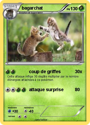 Pokemon bagarchat