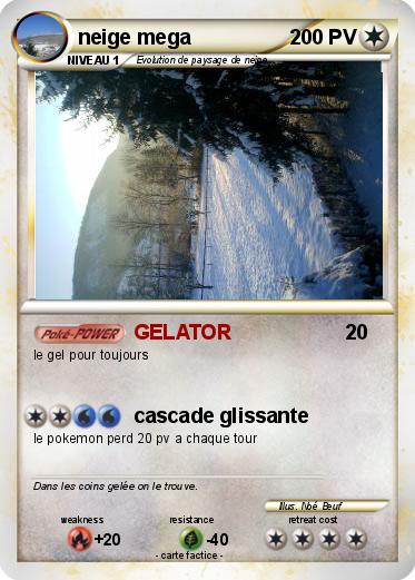 Pokemon neige mega