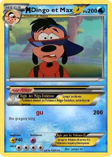 Pokemon Dingo et Max
