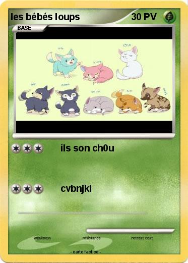 Pokemon les bébés loups