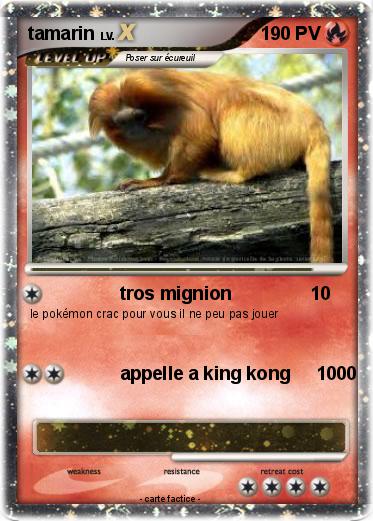 Pokemon tamarin