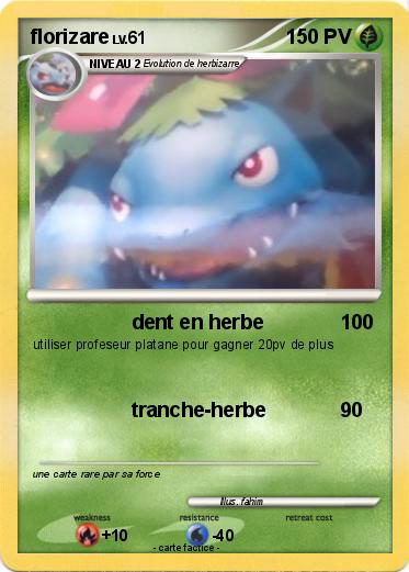 Pokemon florizare