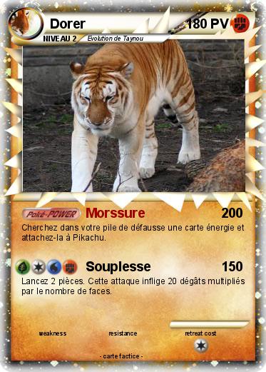 Pokemon Dorer