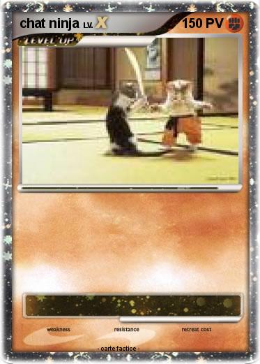 Pokemon chat ninja