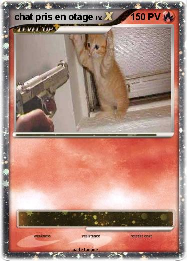 Pokemon chat pris en otage