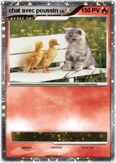 Pokemon chat avec poussin