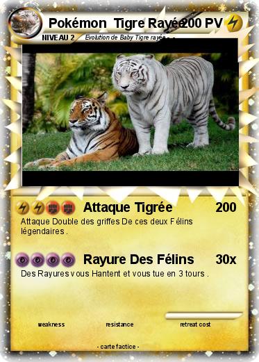 Pokemon Pokémon  Tigre Rayée