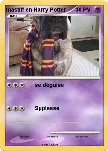 Pokemon mastiff en Harry Potter