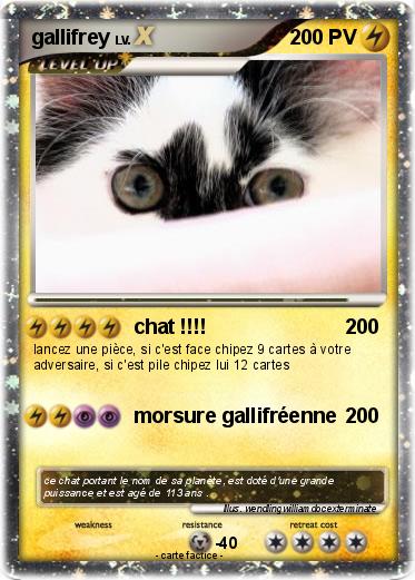 Pokemon gallifrey