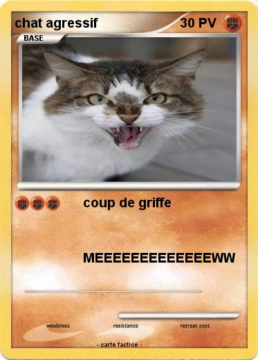 Pokemon chat agressif