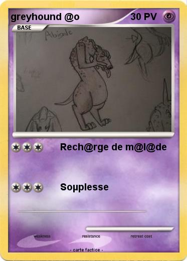 Pokemon greyhound @o