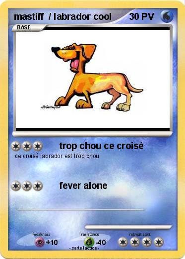 Pokemon mastiff  / labrador cool