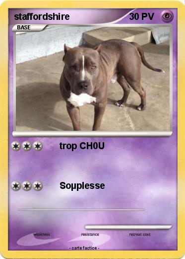 Pokemon staffordshire