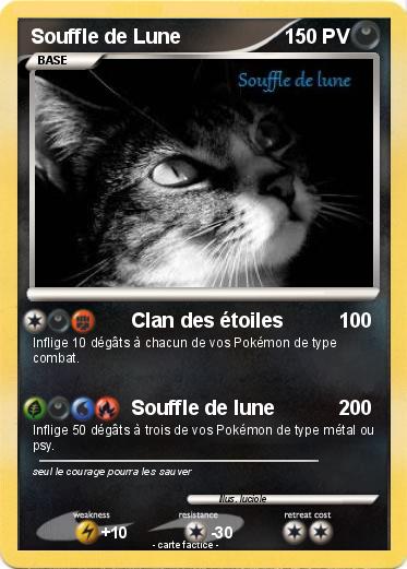 Pokemon Souffle de Lune