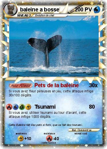 Pokemon baleine a bosse
