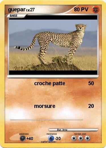 Pokemon guepar