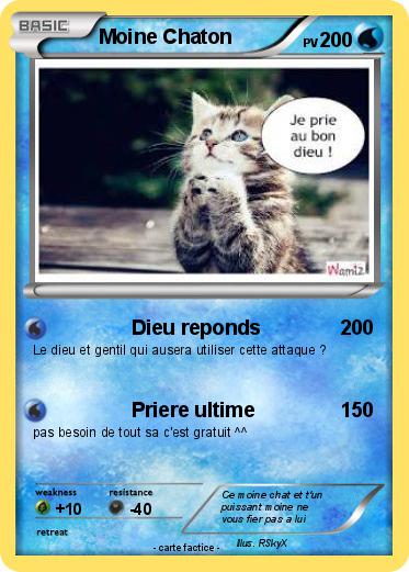 Pokemon Moine Chaton