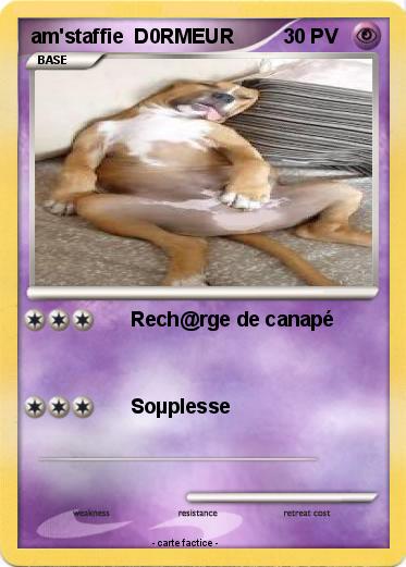 Pokemon am'staffie  D0RMEUR