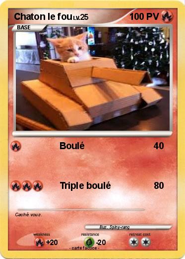 Pokemon Chaton le fou