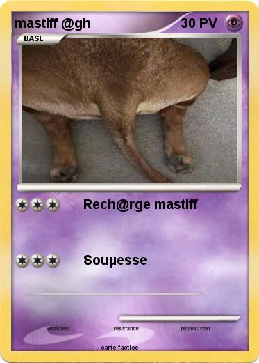Pokemon mastiff @gh