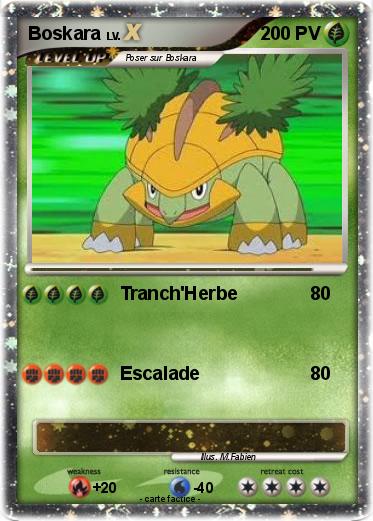 Pokemon Boskara