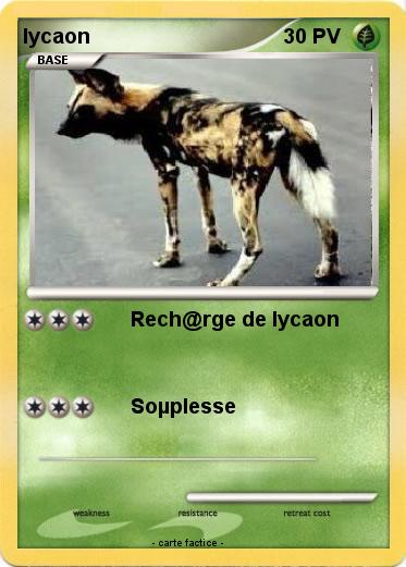 Pokemon lycaon