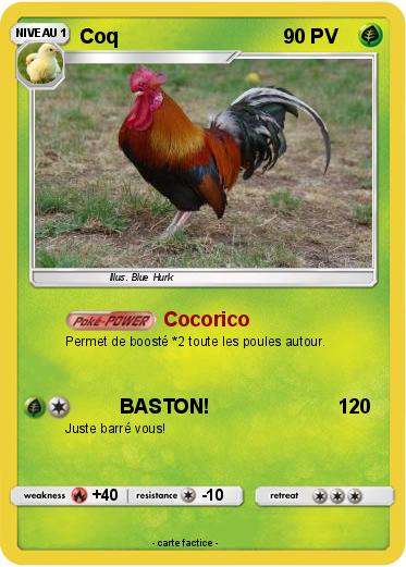 Pokemon Coq