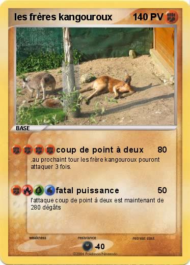 Pokemon les frères kangouroux