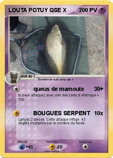 Pokemon LOUTA POTUY QSE X