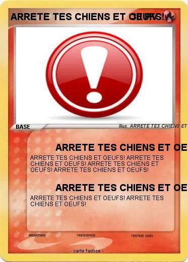 Pokemon ARRETE TES CHIENS ET OEUFS!