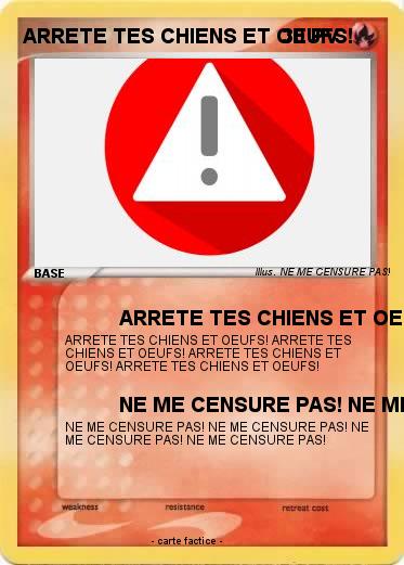 Pokemon ARRETE TES CHIENS ET OEUFS!