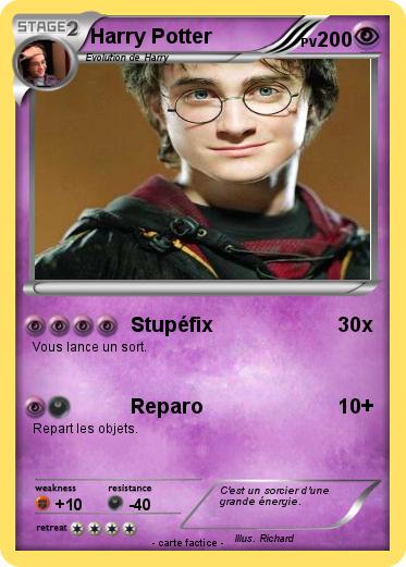 Pokemon Harry Potter