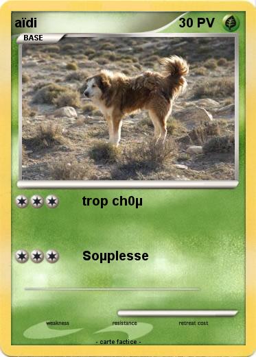 Pokemon aïdi